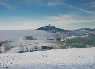 Ile kosztuje przejazd z Polski do Włoch?