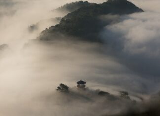 Czy w Korei są komary? Czy w Korei są komary?