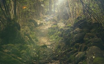 Ile kosztuje wycieczka do Pragi?