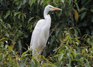 Czy opłaca się mieszkać we Włoszech? Czy opłaca się mieszkać we Włoszech?