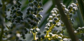 Czy warto jechać do Wenecji?