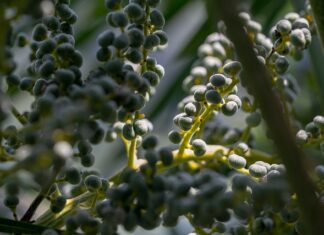 Czy warto jechać do Wenecji? Czy warto jechać do Wenecji?