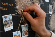 Mapa korkowa jako element wystroju wnętrza – pomysły na aranżacje Mapa korkowa